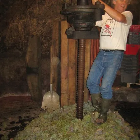 بيت ضيافة Ami Chenin