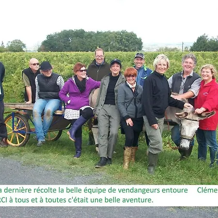 Ami Chenin 2*